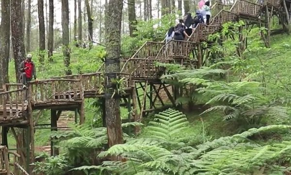 Wisata Orchid Forest , Alternatif Destinasi Liburan Akhir Tahun