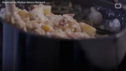 Why Breakfast Is The Most Important Meal