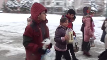 Öğretmenler ve Öğrenciler Sokak Hayvanları İçin Seferber Oldu