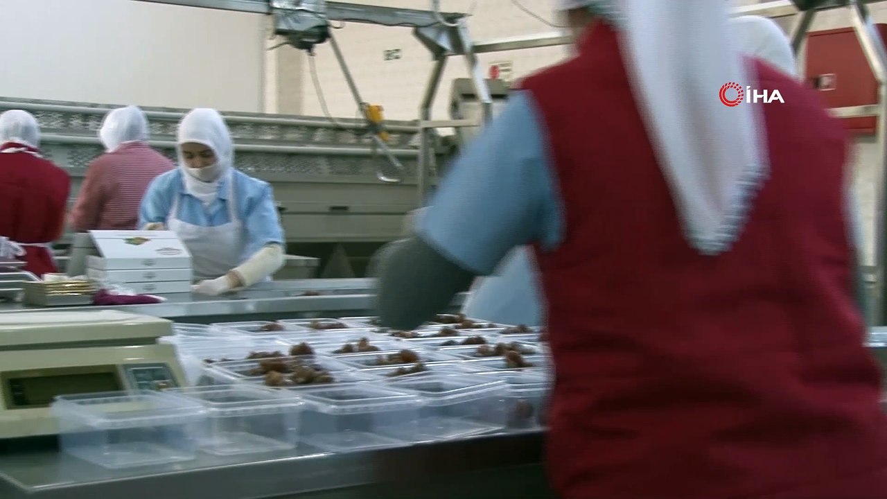 Bu kirpi her eve girer...Çocuklara kestane şekerini ‘Kirpiş’ ile sevdirmeyi hedefliyorlar