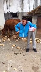 Deceived vision haha