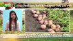Kisan Bulletin 29 Dec 2018 | Grameen News | यूपी गेट पर किसानों ने लिखा किसान क्रांति गेट