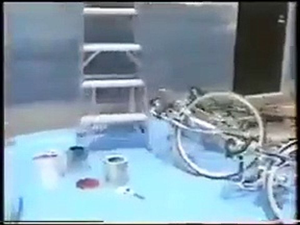 Funny video