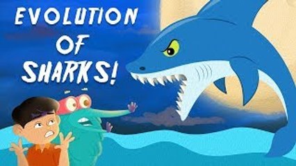 EVOLUTION OF SHARKS | The Dr. Binocs Show | BEST LEARNING VIDEOS For Kids | Peekaboo Kidz
