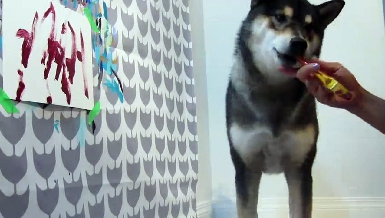 Il apprend à son chien à peindre, ses oeuvres se vendent des milliers de dollars