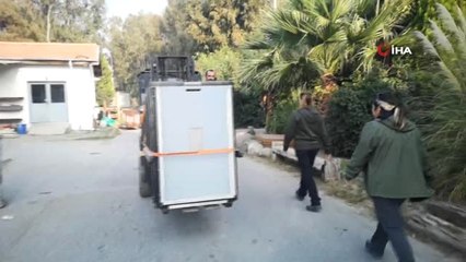 Belçika'dan Getirilen Dişi Aslan 'Selma' Yeni Yuvasında Mutlu