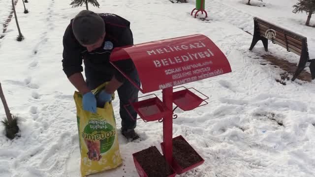 Sokak Hayvanlarının İmdadına Belediye Yetişti