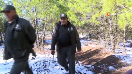 Ormanlarda “yılbaşı nöbeti” başladı