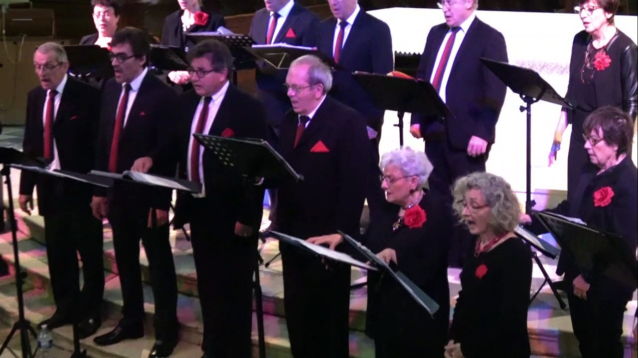 vocadélys 1.film.movie