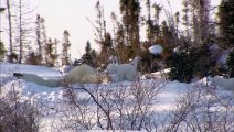 From Canada to Norway: Beyond the Arctic Circle