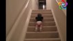 Funny Fall down stairs Compilation - People Fail and win stairs compilation