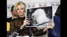 Pamela Anderson récompensée pour son combat pour la cause animale