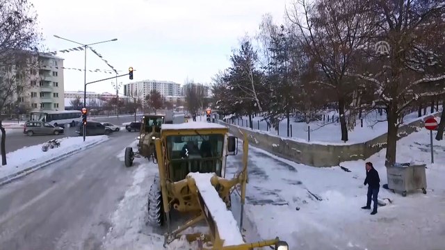 Doğu'nun 'kar panterleri' arı gibi - ERZURUM/AĞRI