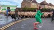 Road block! Flock of hundreds of sheep driven through Yorkshire village