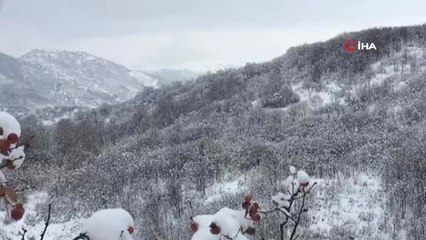 Bitlis'te Toprağa Gömülü 160 Kilogram Eyp Ele Geçirildi