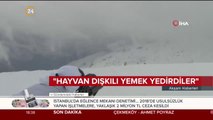 PKK'dan kaçıp güvenlik güçlerine teslim olan terörist