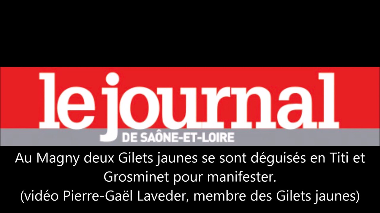 Des Gilets jaunes déguisés en Titi et Grosminet au Magny