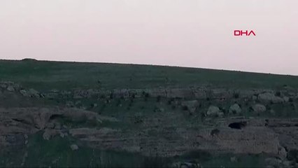 Ayn El Arab Sınırında Teröristlerin Mevzilerinde Bekleyişi Sürüyor