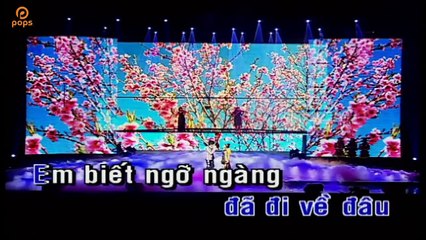 [Karaoke] Nhớ Anh Mấy Mùa - Đan Trường ft. Cẩm Ly [Beat]