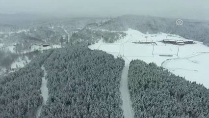 Düzce'nin Yaylalarında Yeşil ve Beyazın Ahengi