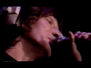 Pink Floyd Behind The Wall