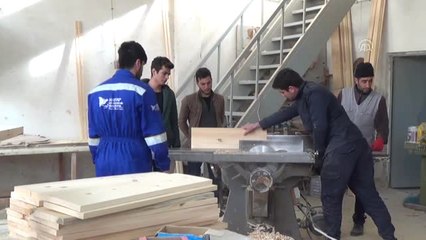 Üniversite Öğrencilerinden Sokak Hayvanları İçin Kulübe