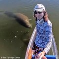 Elle rencontre des lamantins et des dauphins très amicaux... Magnifique