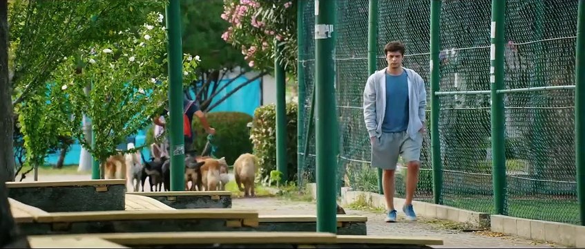 Organize İşler 2: Sazan Sarmalı Fragman