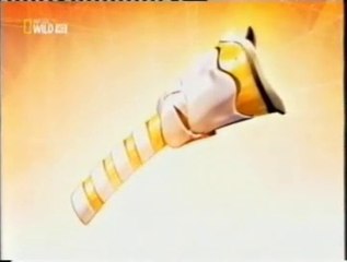 Rugido: La laringe del leon