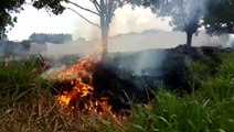 Bombeiros são mobilizados para combater incêndio ambiental
