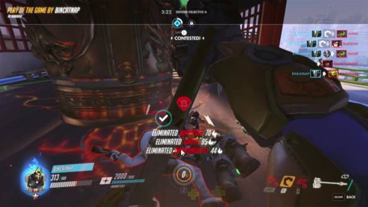 Bincatnip team kill