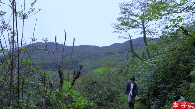 Chinese girl - chinese food- eating acanthopanax in Chinese way