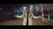 Liviu Guta - Frumoasa copilarie  (OFFICIAL VIDEO 2019)