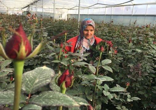 Yılbaşı En Çok Çiçek Üreticilerine Yaradı! Fiyatlar 4 Kat Arttı