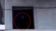 Weird Creature with Blue Eyes Caught On Camera - Real Scary Videos