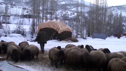 Besicilerin soğuk havada mesaisi - HAKKARİ