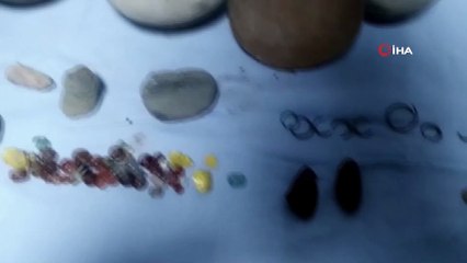 Van’da 334 parça tarihi eser ele geçirildi