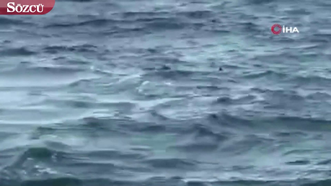Büyükada'da denizde can pazarı