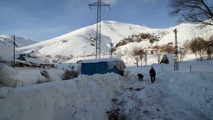 Doğuda dondurucu soğuklar etkili oluyor - AĞRI