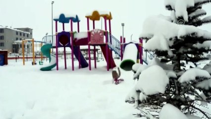 Doğuda dondurucu soğuklar etkili oluyor - ARDAHAN