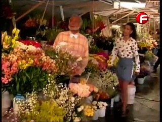 Rosalinda Capítulo 31 Completo Dublado