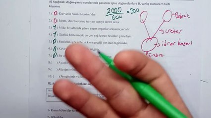 5. Sınıf FEN BİLİMLERİİ 1. Dönem 2. Yazılı Soruları ve Çözümü 2019