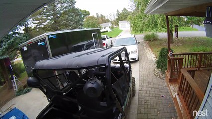 Tree Trimming Ladder Fail