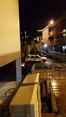 Cars Damaged with Baseball Bat