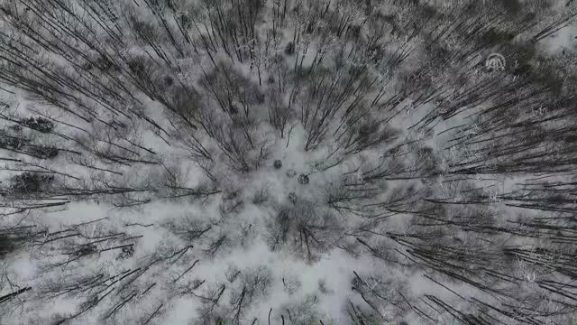 Yaralıgöz Dağı Beyaz Örtüsüyle Görsel Şölen Sunuyor