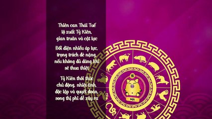 MS Tử vi năm 2019: Dự đoán vận mệnh và may mắn của tuổi Hợi
