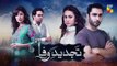 Tajdeed e Wafa Epi 16 Promo HUM TV Drama 30 DEc 2018