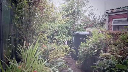 Homes Under the Hammer S17 - Ep19 -. Part 02 HD Watch