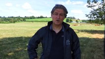 Vidéo. Que sont devenus les vaches sauvées il y a un à Saint-Vit (Doubs) par la Fondation Brigitte Bardot