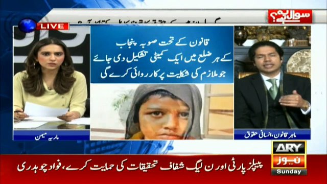 Expert Law, Human Rights Barrister Ahmad Pensota analysis on domestic employees